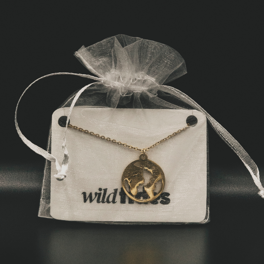 18k gold-plated globe necklace – for women | Wild Tides